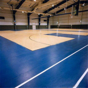Indoor Sports Surface